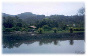 pesqueiro_massaguacu1